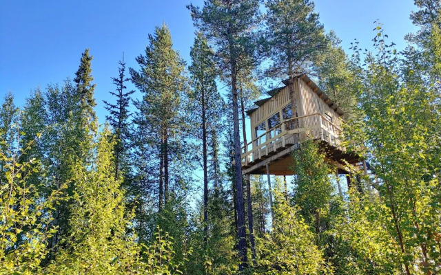 Aurora Lodge