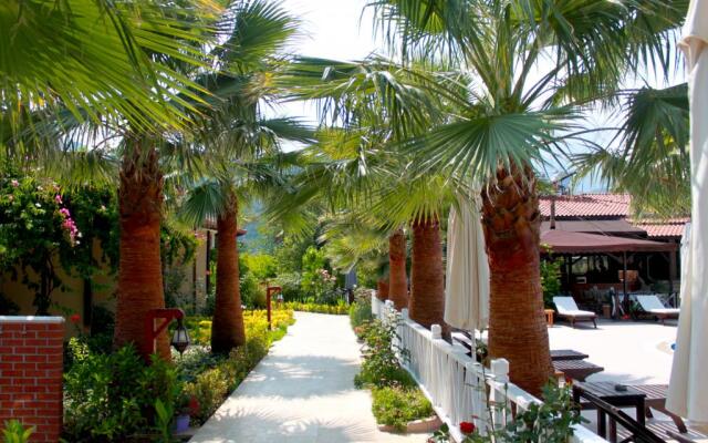 Nerissa Hotel - Special Class