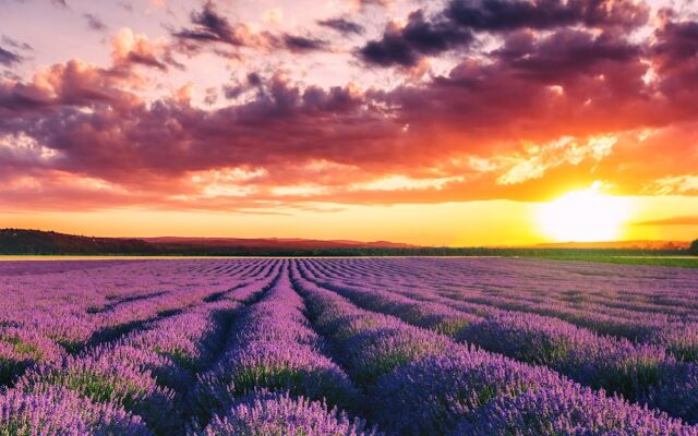 Residence Ventoux Lavande
