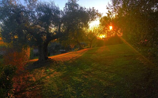 Villa with 2 Bedrooms in Alberobello, with Private Pool And Wifi - 25 Km From the Beach