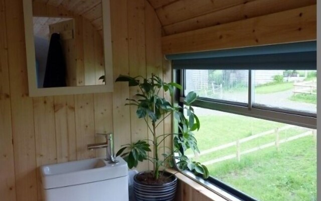 Ceridwen Glamping, Double decker Bus and Yurts