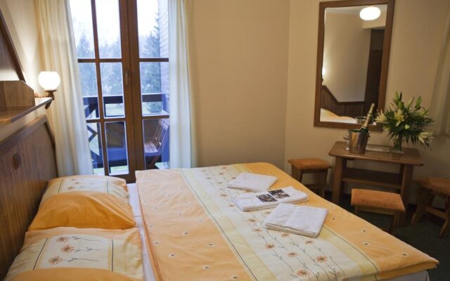 David wellness hotel Harrachov