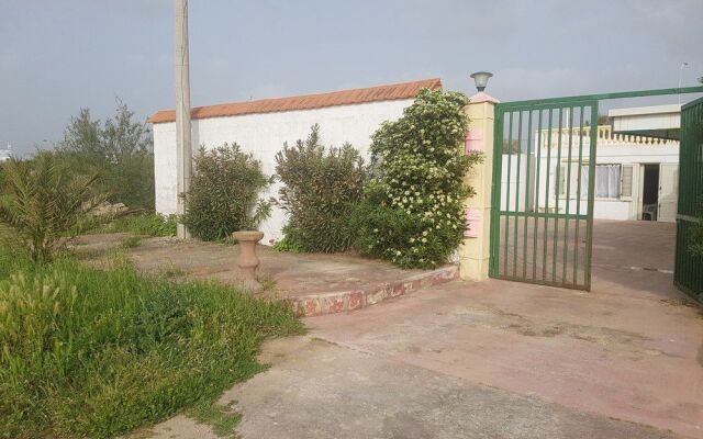 WS Economy Gallipoli