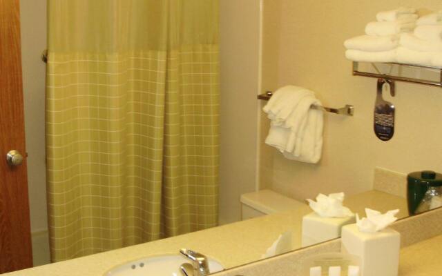 Holiday Inn Joplin-I-44 & Us 71