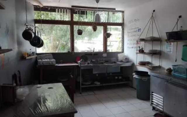 The Lazy Loft Hostel