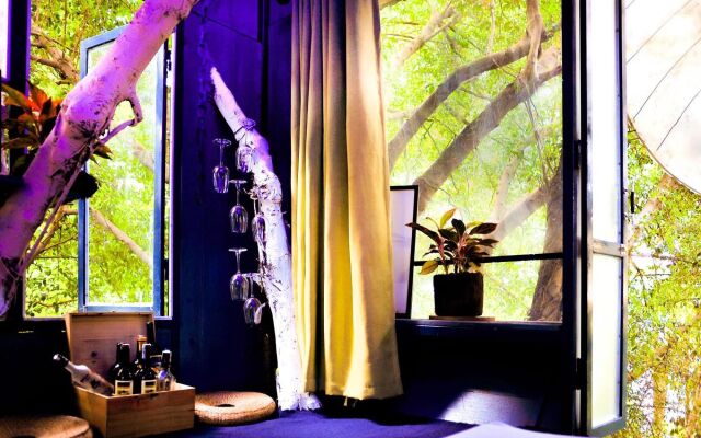 Dao Anh Khanh Treehouse
