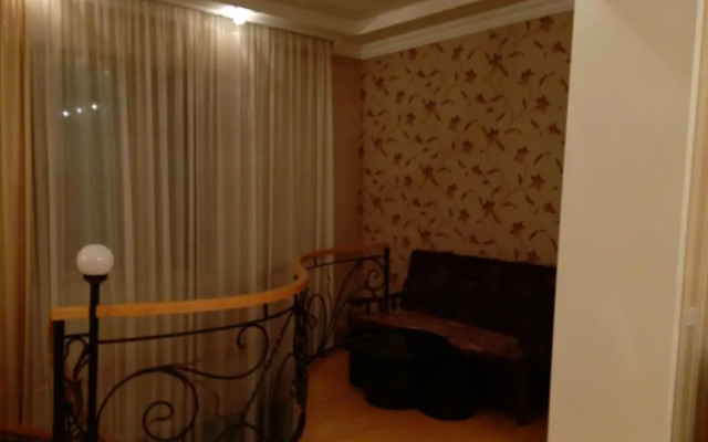 giorgi brckinvale(vashadze) 1