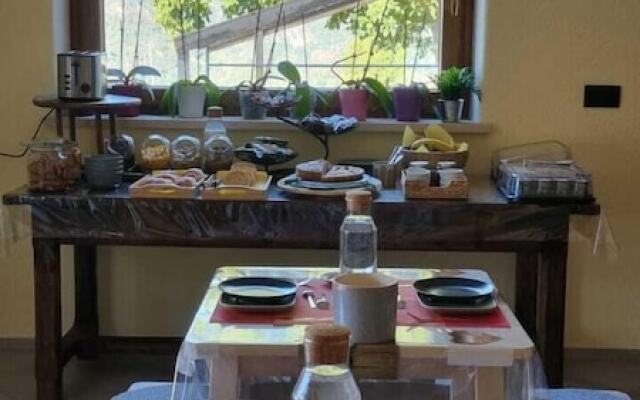 Lo Noyer Et Les Roses