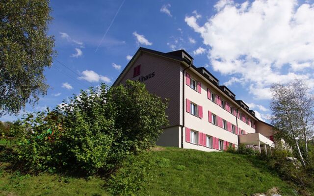 Schwendihaus Apartment