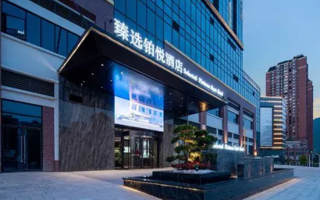 Selected Platinum Hyatt Hotel