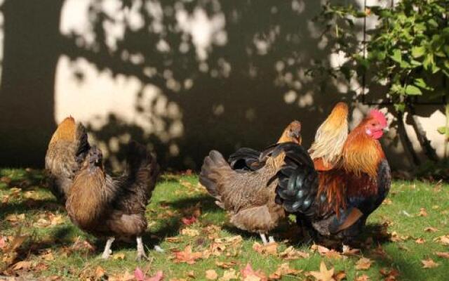 Le Relais de la Tour