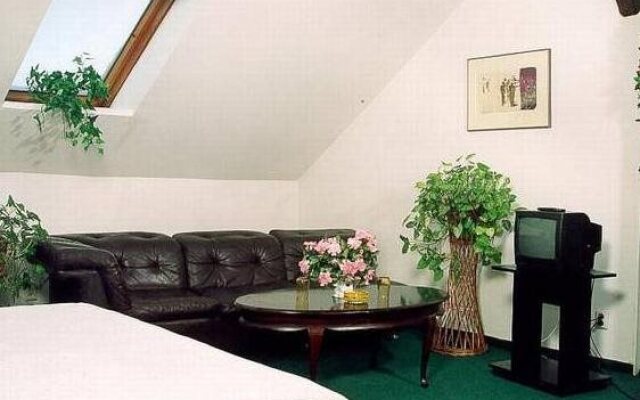 Hotel Český Dům