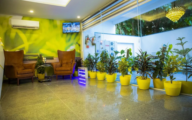 Lime Tree Luxury Studio