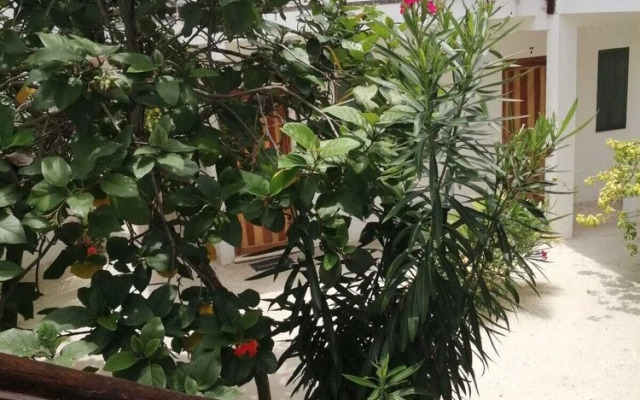 Posada Yalekin Holbox