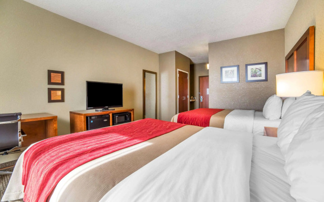 Comfort Inn & Suites