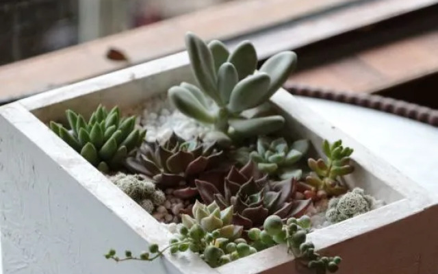 Xijiang Scenic Resort hotel