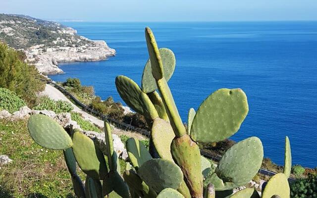 Volito Hotel - Rural Experience