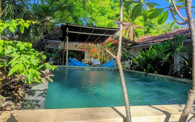 Dream Hotel