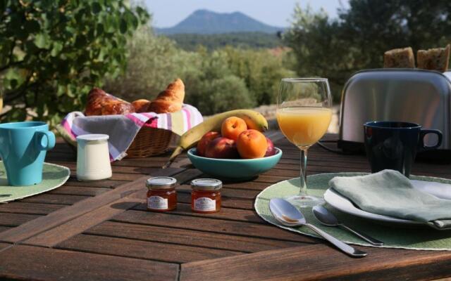 Pantaiahomes My Little Garden