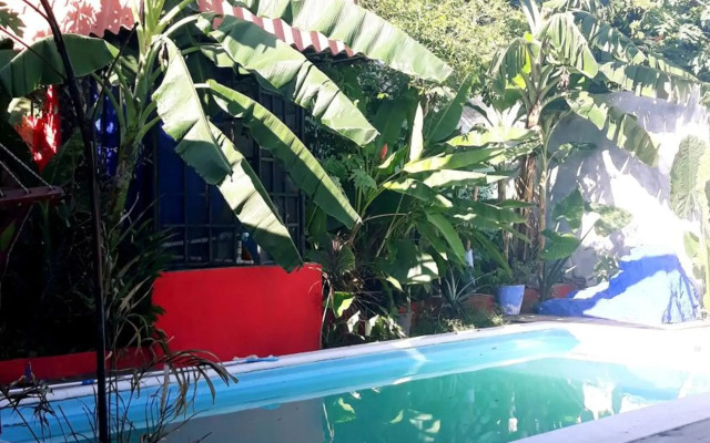 Meanwhile in Veracruz