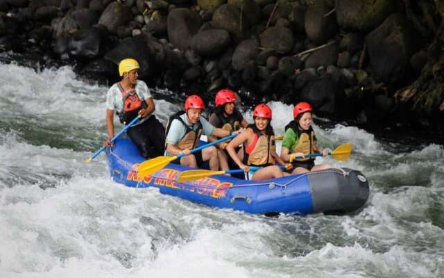 House of Ficus Banderilla,veracruz-mexico