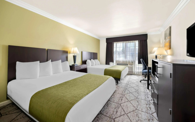 Best Western Executive Inn