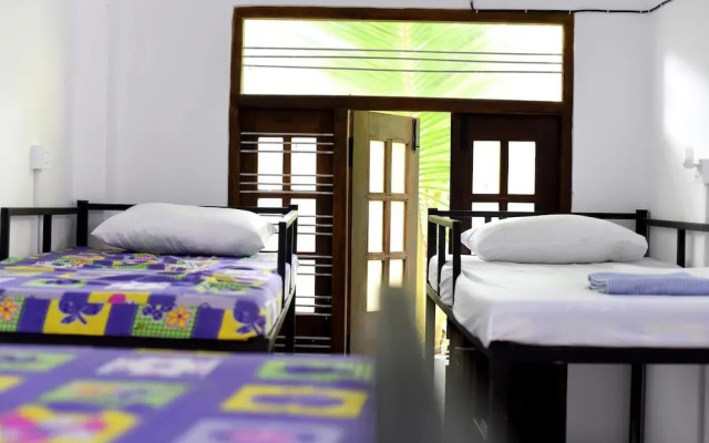 Steps Backpackers Hostel