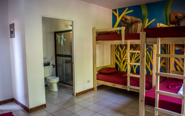 Hostel Dos Monos