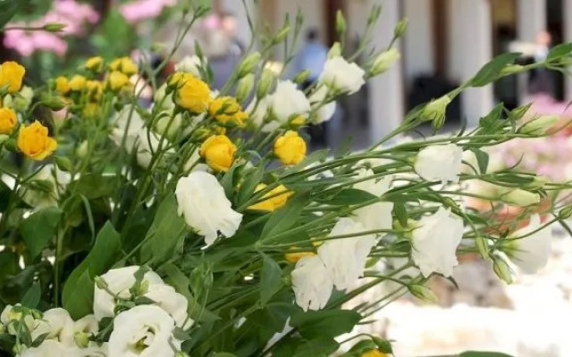 Masseria La Grande Quercia