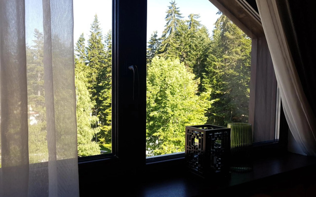 PinePino Borovets, aparthotel Borovets Gardens A60