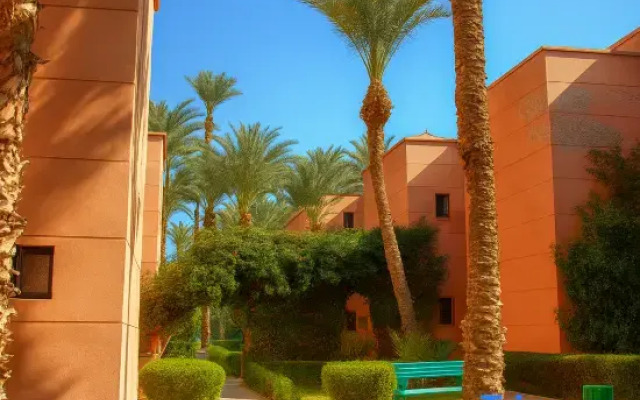 Riad Amirkesh and Pool