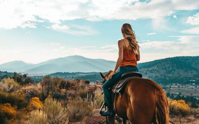 A Piece Of Bearadise Condo