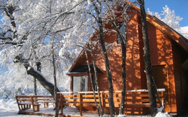 Cabañas Tronco Mayen