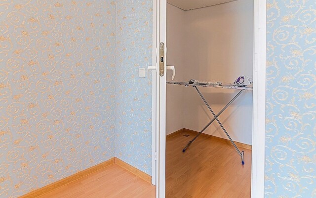 Moskovskiy Prospect View Apartment