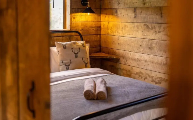 Luxury Safari Lodge Surrounded by Deer!! 'fallow'