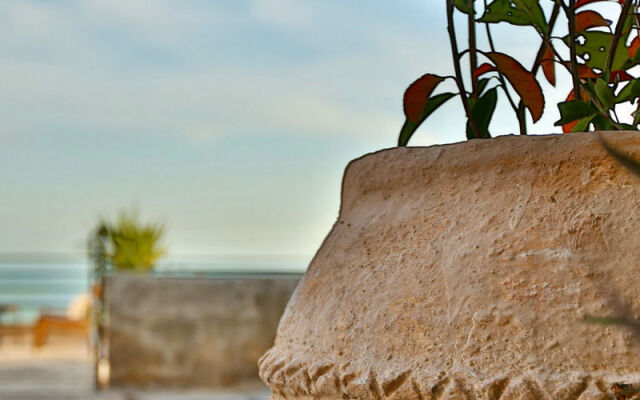 Arura Mardin