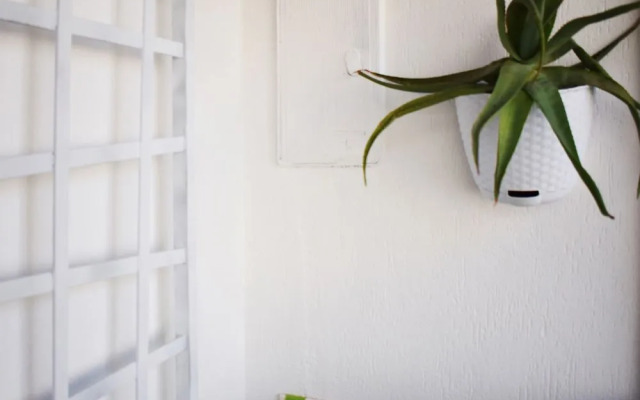 Shower Shows Apartament