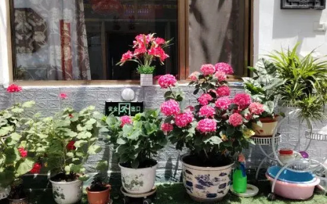 Shengyi Hotel (Wutai Mountain Tourist Center Store)