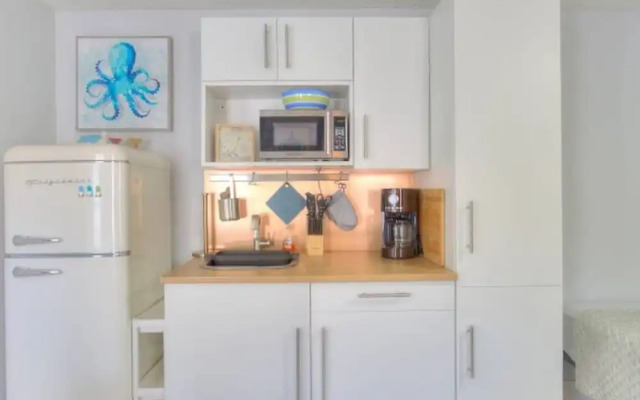 The Mermaid and the Sea Turtle