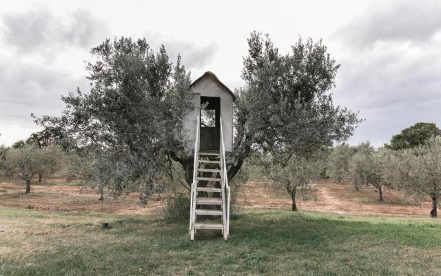 Podere l'Agave