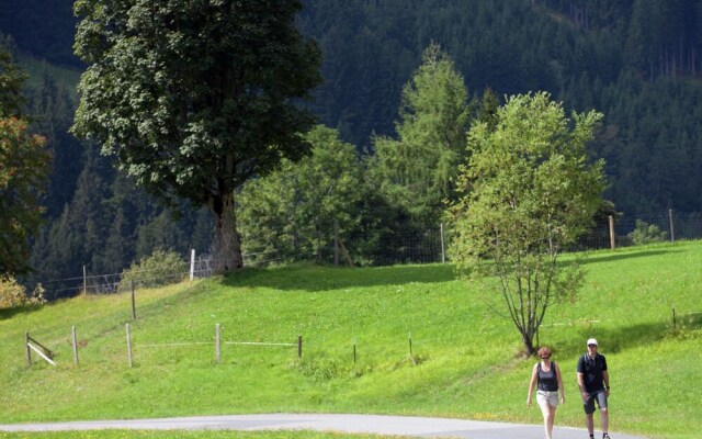 Majestic Apartment near Ski Area in Saalbach-Hinterglemm