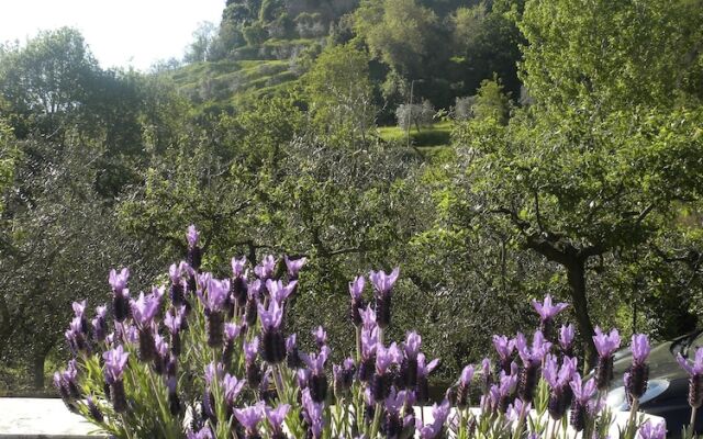 B&B La Locanda degli Artisti