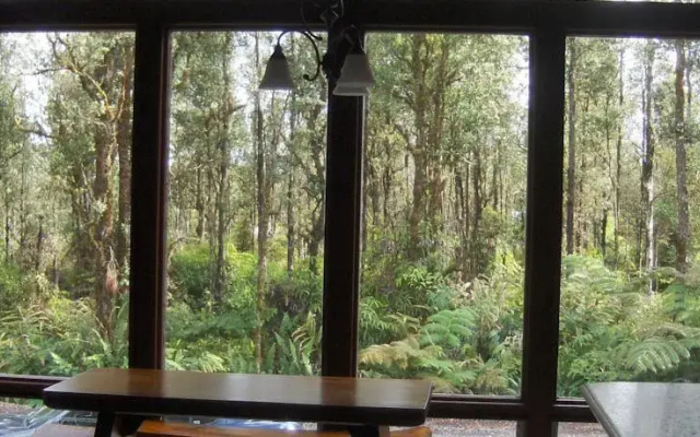 Secluded Rainforest Retreat