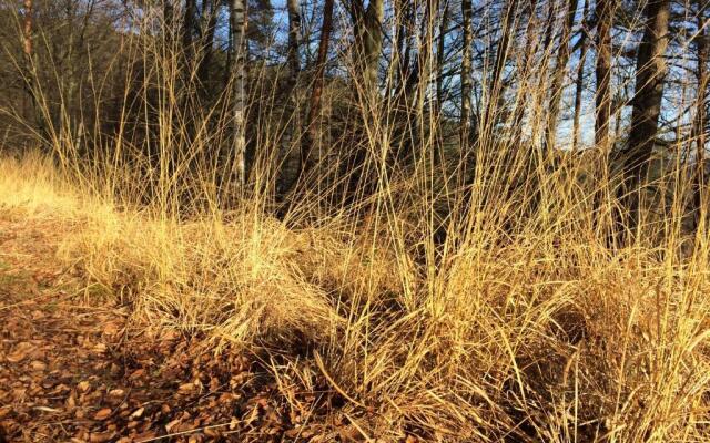 Un gîte dans la vallée