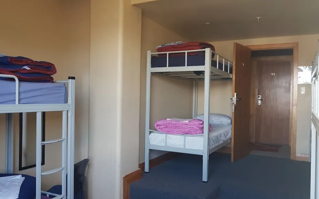 Wild Zebra Backpackers