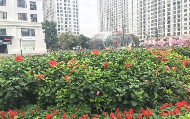 One bedroom Vinhomes Times City Apartment