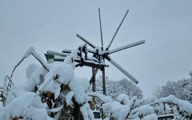 Weinstöckl Hochgrail pures sein