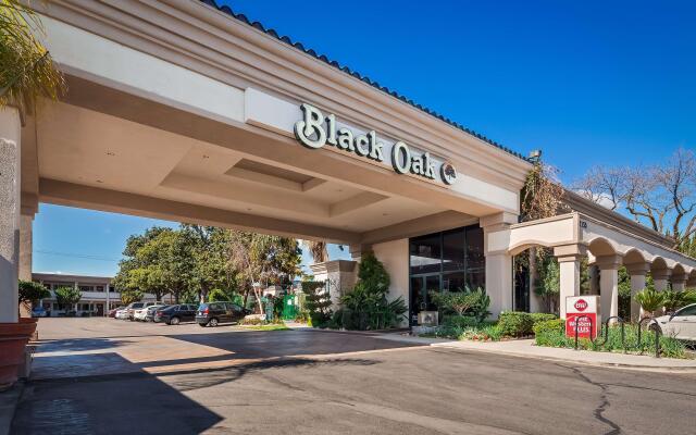 Best Western Plus Black Oak