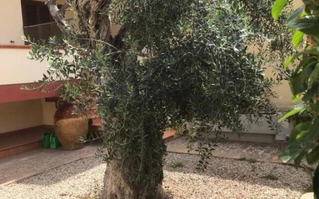 Via Grottella 81 - In Locazione Turistica