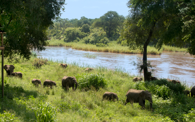 Lion Sands Ivory Lodge